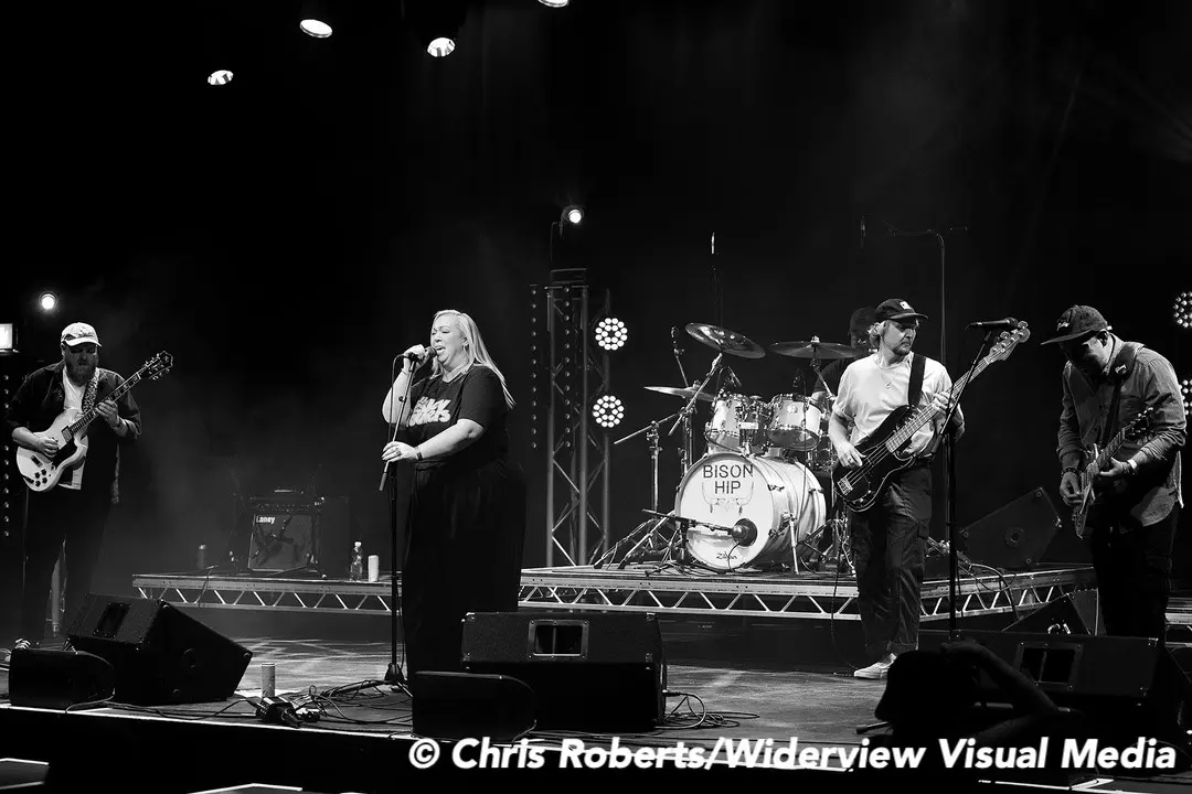 Live at Lincoln Blues Festival